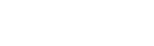 Flymingo PassGlobe Immigration